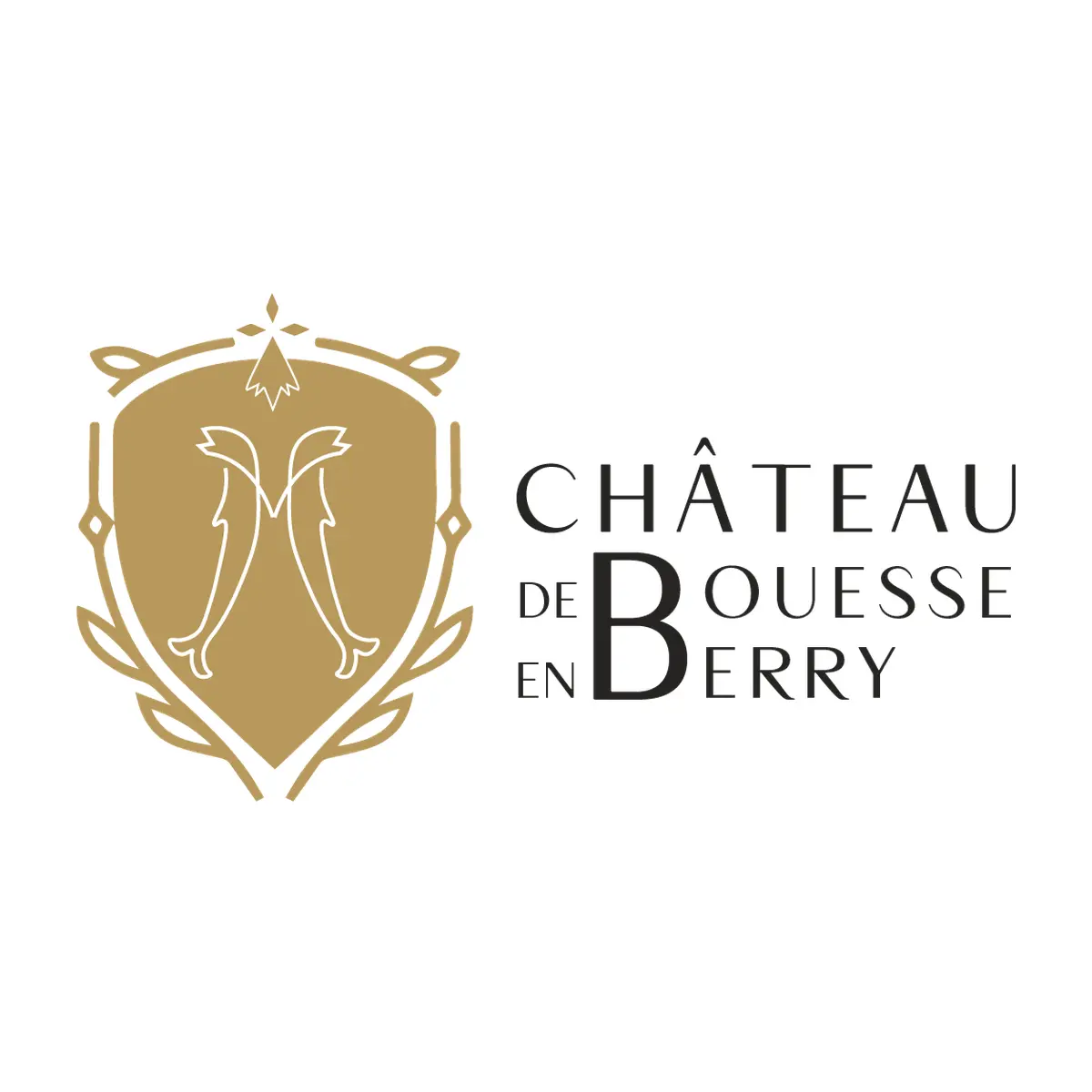 Logo Château de Bouesse en Berry
